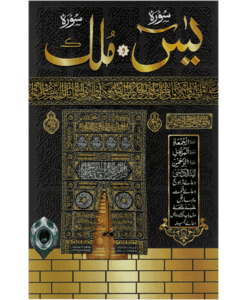 Soera Jaa-sien, Rahmaan, Djumu'ah, Moelk, Muzzammil, etc . Color coded Tajweed, A5 Arabisch grootschrift.